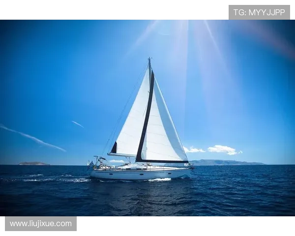 小小企业家成长之路：从梦想启航到商业成功的实战指南