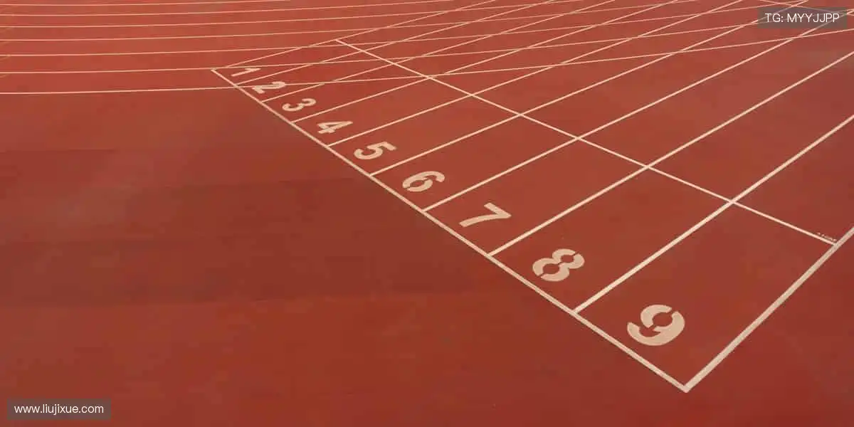 汗水与荣耀同在，见证冠军诞生的瞬间！⚽